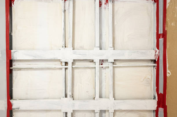 Biohazard Mold Removal in Salem, WV